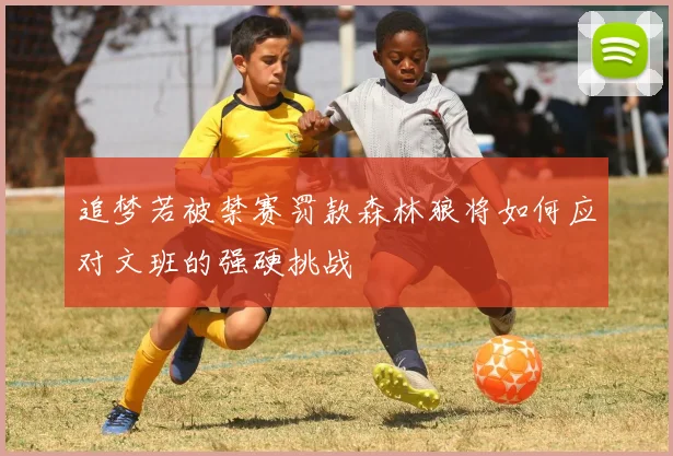 追梦若被禁赛罚款森林狼将如何应对文班的强硬挑战